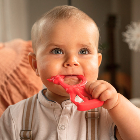 Teething rings vanilla Sophie la girafe