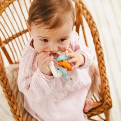 Clés de dentition texturées...