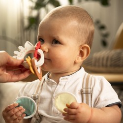 Anneau des senteurs (Sophie...