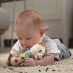 Hochet « pouet » (Sophie la...