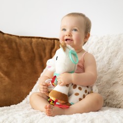 Peluche d'activités (Sophie...